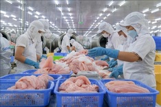 Seafood sector targets USD 11.5 billion in exports in 2026