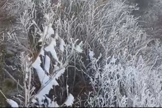 Frost blankets Fansipan peak as temperatures hit zero