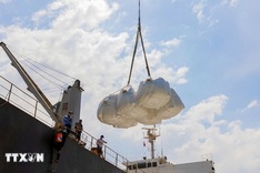 Vietnam exports over 8 million tonnes of rice in 2025