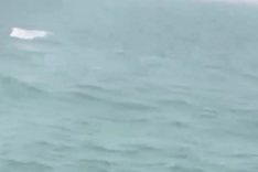 Pod of dolphins swims close to shore off Sam Son