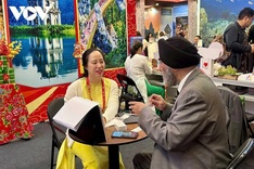 Direct Manila-Danang route set for four weekly flights from March