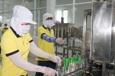 Phan Thiet fish sauce craft proposed for national heritage status