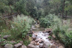 VND 45 billion to be used for restoring Con Son Stream