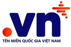 Vietnam to hold first-ever auction of two-character “.vn” domain names