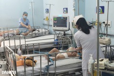 Vietnam records over 3,000 hand, foot and mouth cases a week
