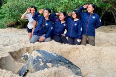 Turtle power drives Vietnam's coastal conservation efforts
