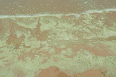 Unusual foam and colour changes reported at Vung Tau beach