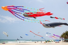 Danang to host large scale artistic kite festival