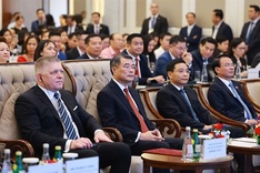 Slovakia pledges support for Vietnamese businesses
