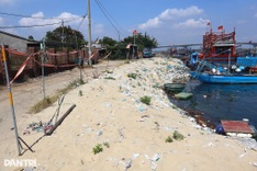 Danang rushes seawall project to shield 500 households
