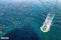 Coral reef conservation linked to community tourism in Dak Lak