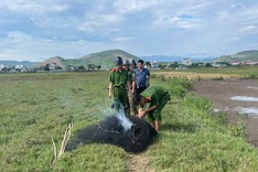 Bird-trapping nets removed from fields in Quang Tri