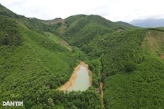Thanh Hoa rejects plan to convert 13ha forest into soil mine