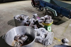 Illegal gecko shipment seized in Tay Ninh