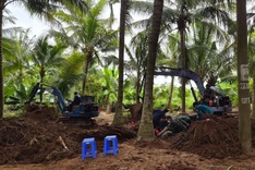 Remains of 42 soldiers found in Dong Thap coconut grove