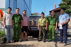 Rare pig-tailed macaque found in resident's home