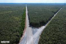 Tay Ninh approves VND 1.57 trillion road link to HCM City