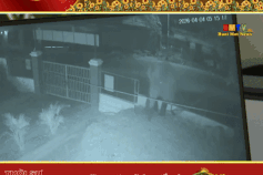 Wild elephant enters school, destroys crops in Son La