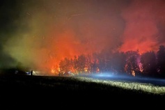 Nearly five hectares of melaleuca forest burned in An Giang fire