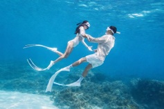 Tourists flock to Phu Quy Island for surreal diving experience