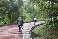 My Son Sanctuary offers bikes for tourists