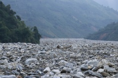 Lao Cai rice fields devastated by typhoon