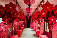 Vietnam Railways to launch Lunar New Year’s Eve train services