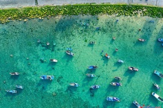 Quy Nhon's green moss-covered rocky shore proves popular