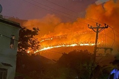Successive forest fires occur in many localities
