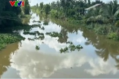 Crocodile spotted in Tien Giang river