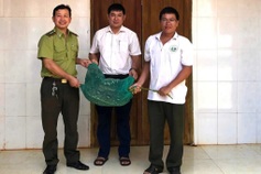 Rare python slips into Dak Lak house