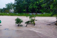 Heavy rain floods parts of HCM City and Dong Nai
