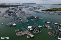 Exploring the charm of HCM City’s island commune