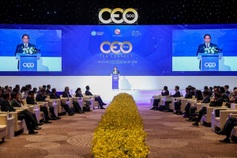PM outlines Vietnam’s development strategy at CEO500 tea connect