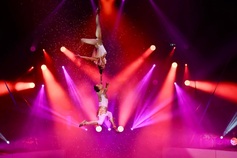 Vietnam wins three prizes at International Circus Festival Gold Elephant