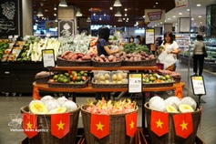 Vietnam taps overseas communities to expand global distribution