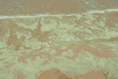 Unusual foam and colour changes reported at Vung Tau beach