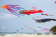 Danang to host large scale artistic kite festival
