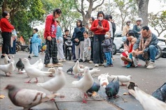 Hanoi ranks 25th among world’s most interesting cities 2026