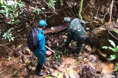 230-kg wartime bomb found in Quang Ngai forest