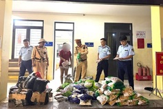 Hundreds of kilos of untraceable food seized in Tuyen Quang