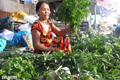 Danang's once-a-year herbal leaf market draws crowds