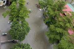 Heavy rain swamps apartment basements in Vinh