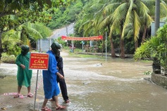 Danang deploys forces to flood-prone areas