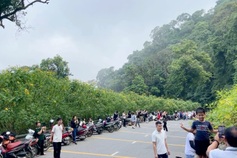 Ba Vi National Park bans reckless riders during flower season