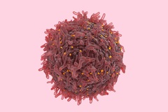 Phương pháp mới cho phép “nhìn thấu” hoạt động của từng tế bào ung thư