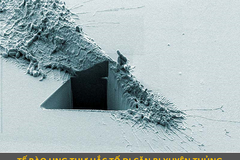 Vẻ ma mị của những tế bào ung thư đạt giải trong cuộc thi nhiếp ảnh