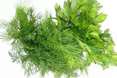 Bất ngờ với công dụng chống ung thư của rau thì là, mùi tây