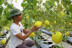 Nam Định: Hiện thực hoá mục tiêu giảm nghèo đa chiều