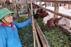 Ninh Bình: Nhiều chính sách thiết thực, hiệu quả hỗ trợ giảm nghèo